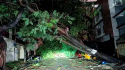 Karnataka, Bengaluru, Bengaluru rains