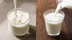 Skim Milk vs Whole Milk