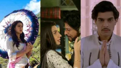 Controversial Bollywood debuts