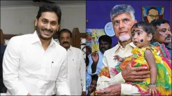 Andhra Pradesh Assembly Election Results 2024