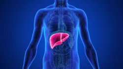 viral hepatitis transmission