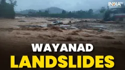 Wayanad Landslides