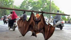 Nipah Outbreak Kerala