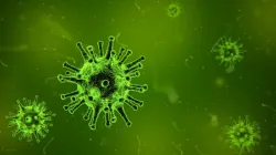 Chandipura virus outbreak in Gujarat