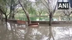 Rohini, boy drowns in park in Rohini, Delhi Police, Delhi rains