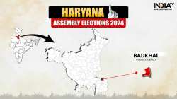 Haryana assembly elections 2024