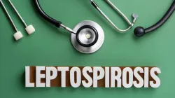 leptospirosis