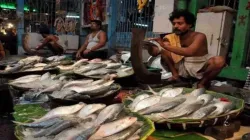 Vendors selling Hilsa fish in a wholesale market in Kolkata. 