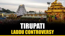 Tirupati temple trust 