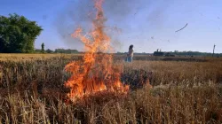 Flying squad, Air Quality panel, what is flying squad, stubble burning, stubble burning by farmers