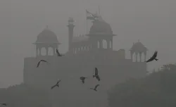 A thick layer of smog seen over Red Fort in New Delhi