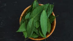 chewing raw curry leaves is good for skin and hair health