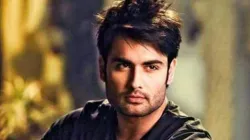 Vivian Dsena 