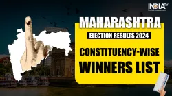 Maharashtra Assembly Election Results 2024 Complete List of Winners and Parties