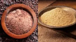 Black Salt and Asafoetida