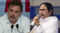 Rahul Gandhi and Mamata Banerjee