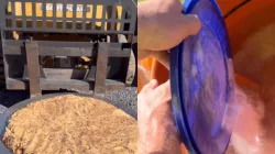 Viral video of huge chocolate chip cookie made in a cement mixer