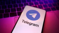 Telegram scammers