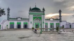 Shahi Jama Masjid, Sambhal