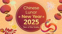 Chinese New Year 2025