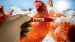 Human bird flu case confirmed in California