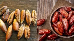 7 health benefits of date seeds