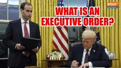 What is an executive order and how common is it in US history