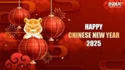 Happy Chinese New Year 2025: Wishes and images