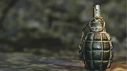 manipur hand grenade 