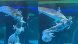 Mermaid performer managing giant fish's attack