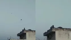 Monkey flies kite in Banaras, video goes viral