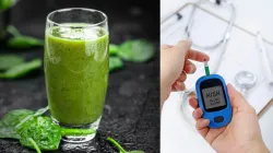 Moringa juice is effective in reducing diabetes