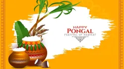 Surya Pongal: All about the second day of Pongal festival