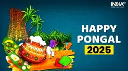 Happy Pongal 2025: Wishes, messages and images