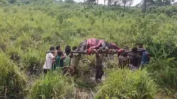 Forest officials rescue rhino calf, lift it on their shoulders