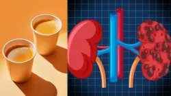 Drinking tea, coffee in paper cups can damage kidneys