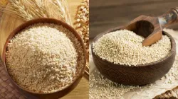 Daliya vs Quinoa