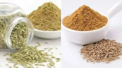 Fennel, cumin powder