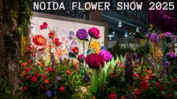 Noida flower show 2025