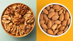 Walnuts vs Almonds