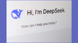 DeepSeek