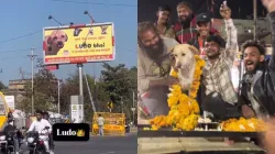 Men celebrate stray dog's birthday in Madhya Pradesh 