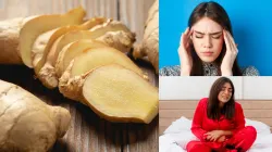 ginger works as a painkiller for migraine and period cramps