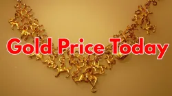 gold price today