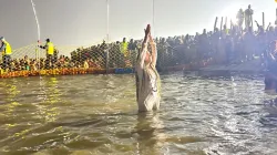 Mahakumbh, Mahakumbh 2025, Kumbh Mela, Prayagraj, Amrit Snan