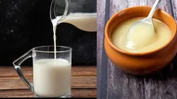 Milk and Ghee: Know when and how much to consume