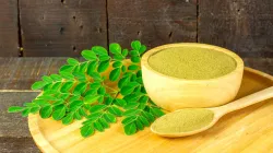 Know why you should add moringa to your diet