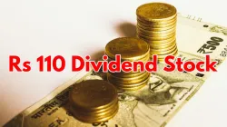 dividend stock