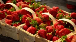 Try these easy recipes to enjoy strawberries all year