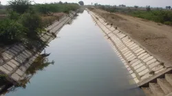 bhakra canal 